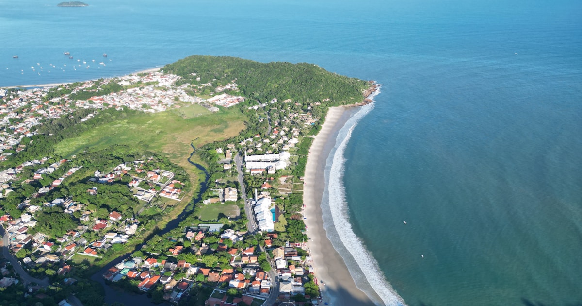 Consultoria SEO em Santa Catarina: como contratar em 2026